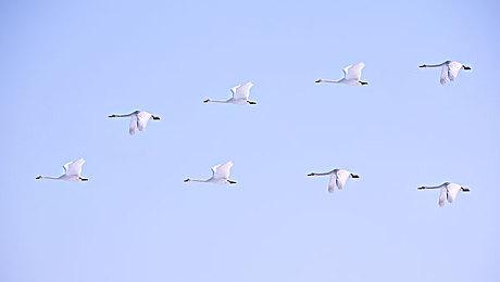 《巫师3》10年售出6000万套 逼近《上古卷轴5》